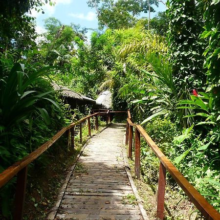 Wasai Puerto Maldonado Hostel Eksteriør bilde